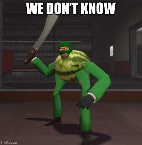 WE DON’T KNOW | image tagged in spymelon | made w/ Imgflip meme maker