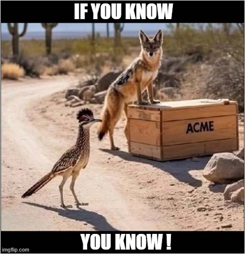 Looks Familiar ? | IF YOU KNOW; YOU KNOW ! | image tagged in familiar,iykyk,coyote,road runner | made w/ Imgflip meme maker