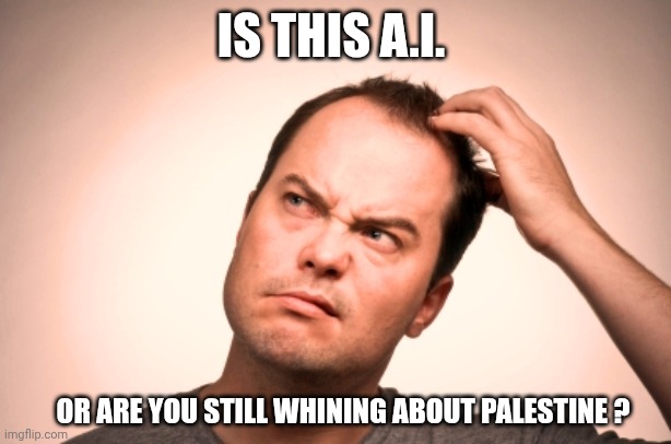 puzzled man | IS THIS A.I. OR ARE YOU STILL WHINING ABOUT PALESTINE ? | image tagged in puzzled man | made w/ Imgflip meme maker