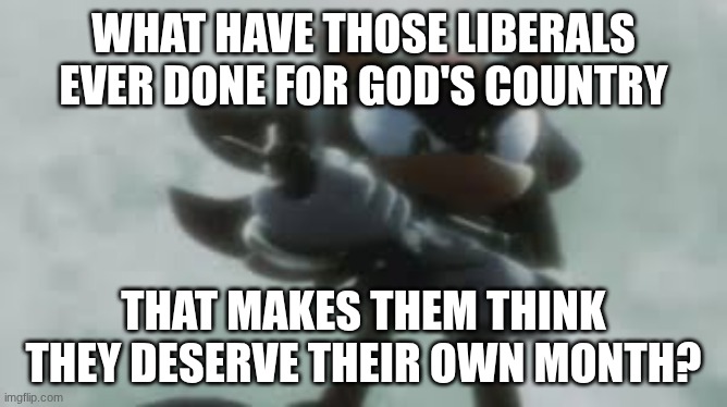 Shadow the hedgehog with a gun | WHAT HAVE THOSE LIBERALS EVER DONE FOR GOD'S COUNTRY THAT MAKES THEM THINK THEY DESERVE THEIR OWN MONTH? | image tagged in shadow the hedgehog with a gun | made w/ Imgflip meme maker