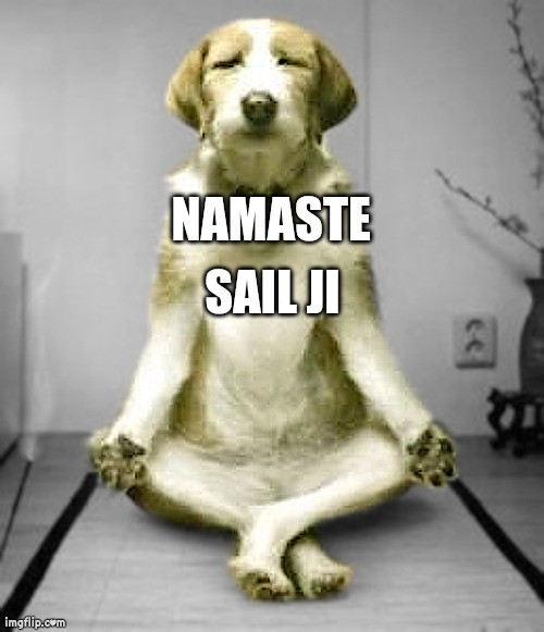 namaste | SAIL JI; NAMASTE | image tagged in namaste | made w/ Imgflip meme maker