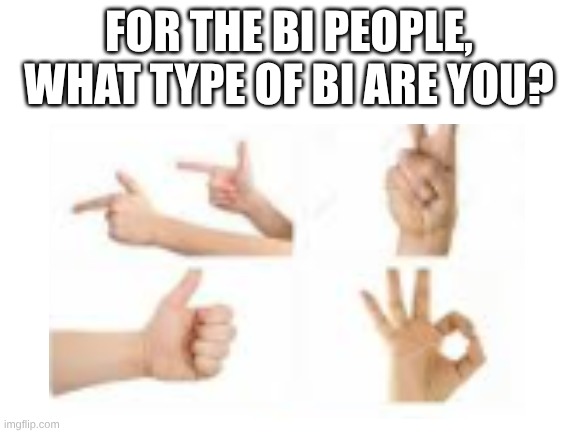 I'm the finger guns and the thumbs up | FOR THE BI PEOPLE, WHAT TYPE OF BI ARE YOU? | image tagged in blank white template | made w/ Imgflip meme maker