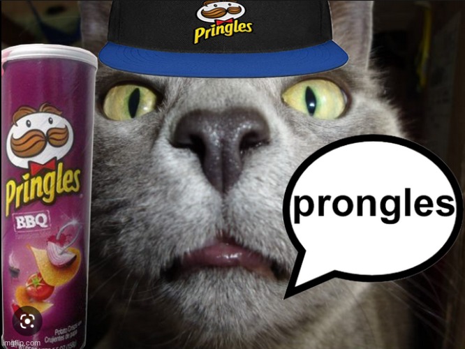 Lmao homophobia isn't that bad, it only becomes a problem if you make it over half of your personality lmao | image tagged in prongles | made w/ Imgflip meme maker