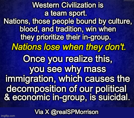 And the Democrats are playing for the other team ... against Americans. | Western Civilization is a team sport.  
Nations, those people bound by culture, blood, and tradition, win when they prioritize their in-group. Nations lose when they don't. Once you realize this, you see why mass immigration, which causes the decomposition of our political; & economic in-group, is suicidal. Via X @realSPMorrison | image tagged in blue background,scumbag democrats | made w/ Imgflip meme maker