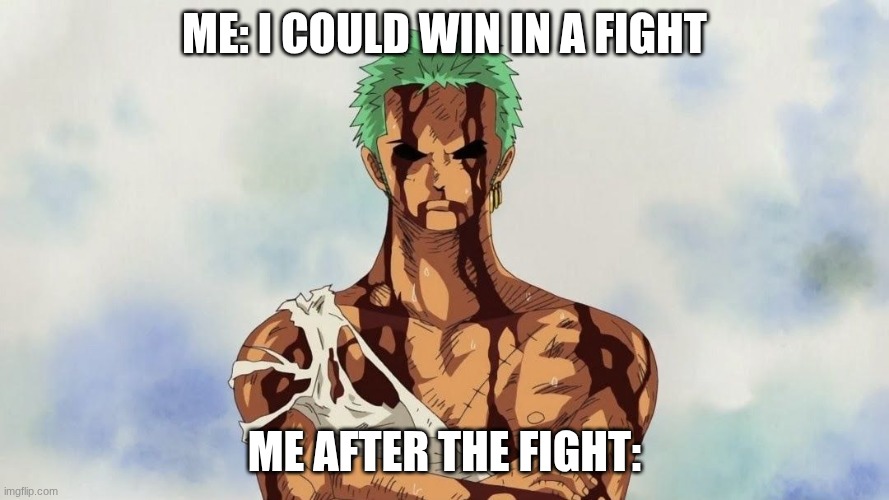 Zoro | ME: I COULD WIN IN A FIGHT; ME AFTER THE FIGHT: | image tagged in zoro,fight | made w/ Imgflip meme maker