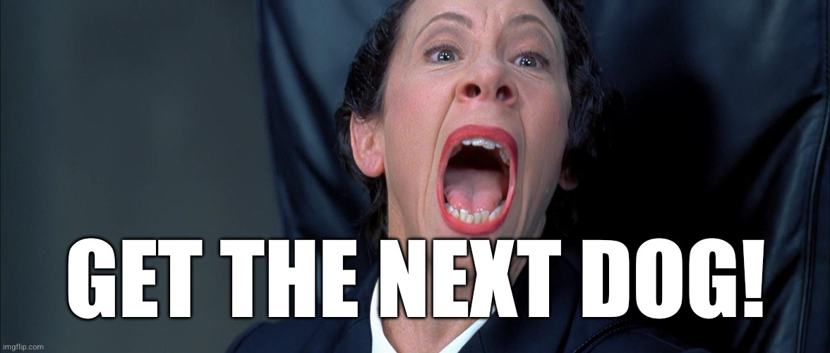 Frau Farbissina | GET THE NEXT DOG! | image tagged in frau farbissina | made w/ Imgflip meme maker