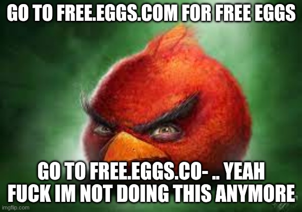 Bro gained sentience | GO TO FREE.EGGS.COM FOR FREE EGGS; GO TO FREE.EGGS.CO- .. YEAH FUCK IM NOT DOING THIS ANYMORE | image tagged in realistic red angry birds | made w/ Imgflip meme maker