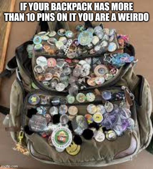 IF YOUR BACKPACK HAS MORE THAN 10 PINS ON IT YOU ARE A WEIRDO | image tagged in backpack | made w/ Imgflip meme maker