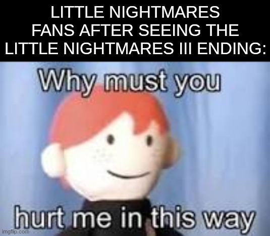*Crys* | LITTLE NIGHTMARES FANS AFTER SEEING THE LITTLE NIGHTMARES III ENDING: | image tagged in why must you hurt me in this way,memes,little nightmares,little nightmares 3,sad | made w/ Imgflip meme maker