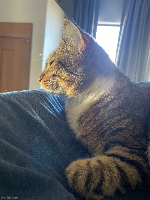 He eepy | made w/ Imgflip meme maker