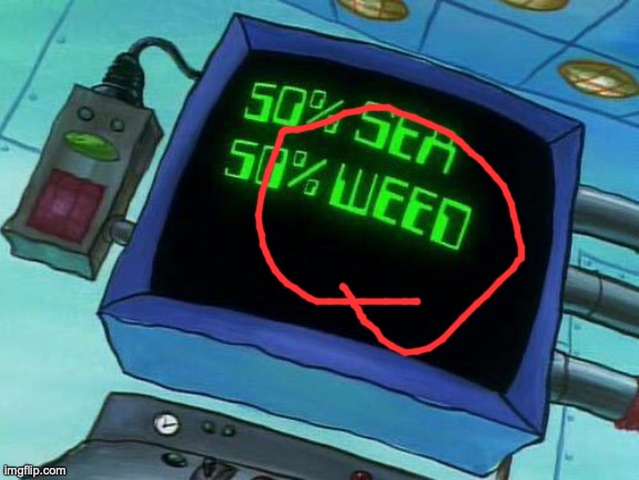 50% Sea 50% Weed | image tagged in 50 sea 50 weed | made w/ Imgflip meme maker