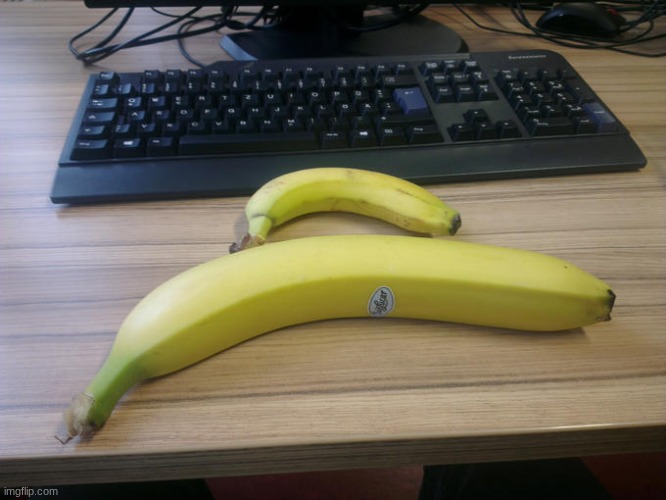 big banana (banana for scale) | made w/ Imgflip meme maker