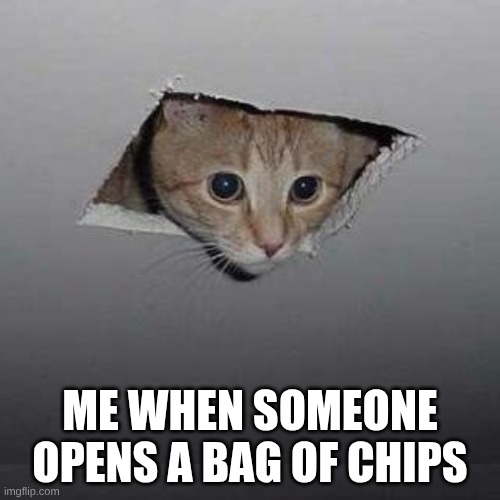 Ceiling Cat | ME WHEN SOMEONE OPENS A BAG OF CHIPS | image tagged in memes,ceiling cat | made w/ Imgflip meme maker