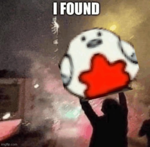 BORd | image tagged in bord | made w/ Imgflip meme maker