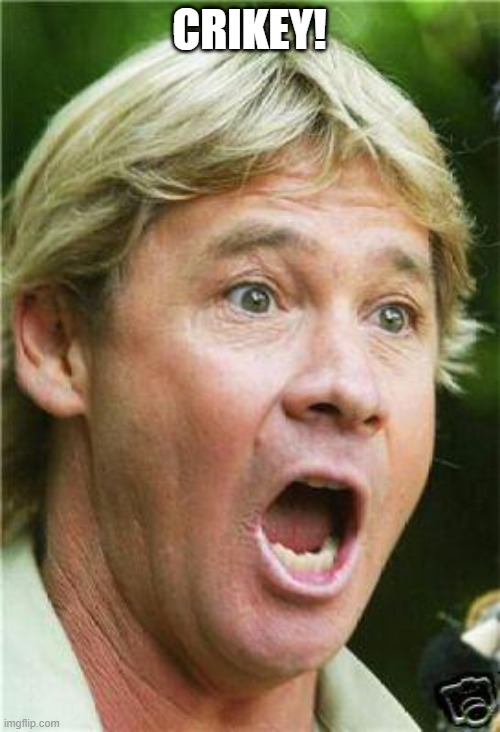 Steve Irwin shocked | CRIKEY! | image tagged in steve irwin shocked | made w/ Imgflip meme maker