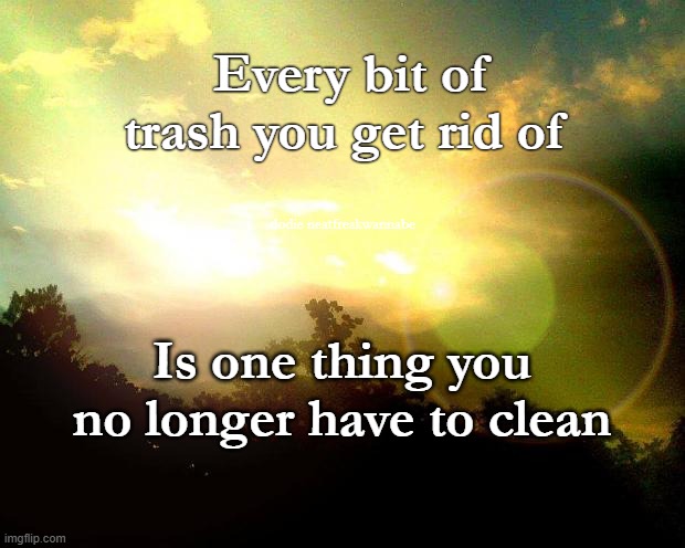 Cleaning | Every bit of trash you get rid of; dodie neatfreakwannabe; Is one thing you no longer have to clean | image tagged in spring cleaning | made w/ Imgflip meme maker