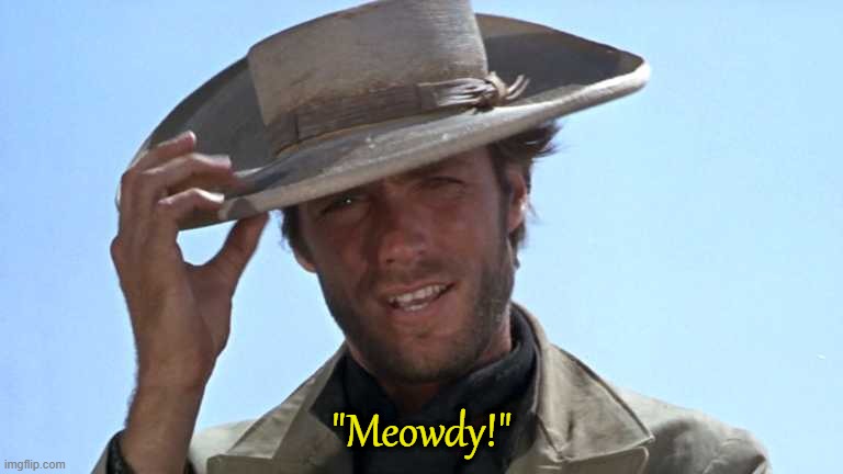 "Meowdy!" | image tagged in cowboy tipping hat | made w/ Imgflip meme maker