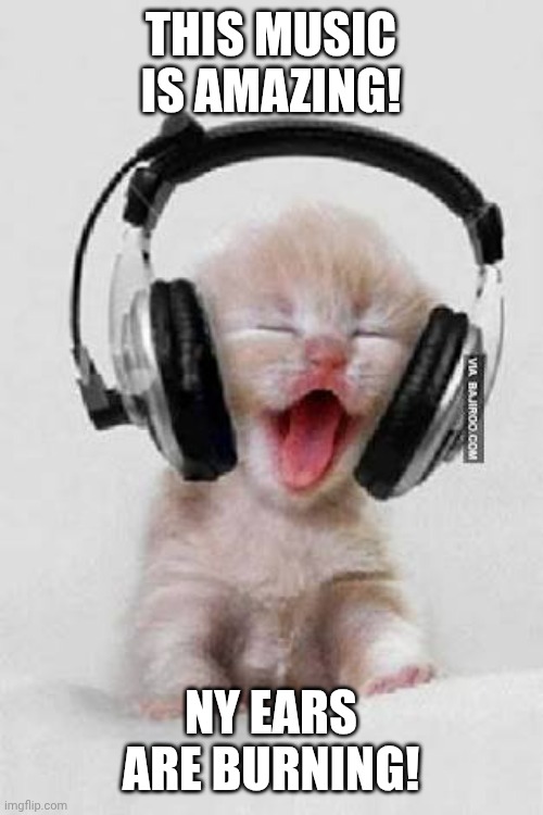 Headphones | THIS MUSIC IS AMAZING! NY EARS ARE BURNING! | image tagged in headphones | made w/ Imgflip meme maker