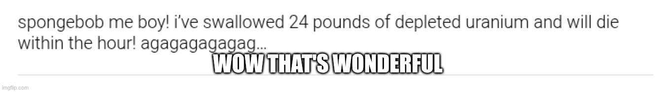 WOW THAT'S WONDERFUL | made w/ Imgflip meme maker
