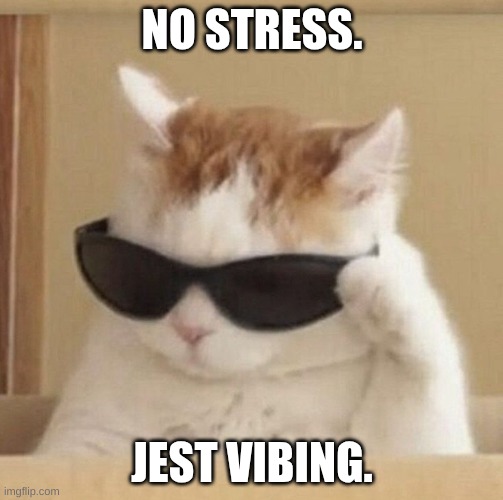Cool cat | NO STRESS. JEST VIBING. | image tagged in cool cat,cat,cats,funny cats,funny animals | made w/ Imgflip meme maker