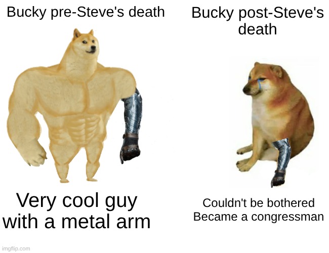 Buckyyyyyyy | Bucky pre-Steve's death; Bucky post-Steve's
death; Very cool guy with a metal arm; Couldn't be bothered
Became a congressman | image tagged in memes,buff doge vs cheems | made w/ Imgflip meme maker