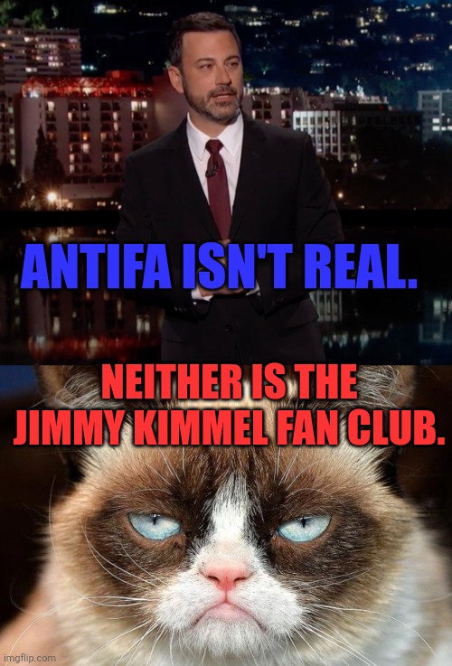 Jimmy Kimmel Antifa | ANTIFA ISN'T REAL. NEITHER IS THE JIMMY KIMMEL FAN CLUB. | image tagged in please laugh,memes,grumpy cat not amused | made w/ Imgflip meme maker
