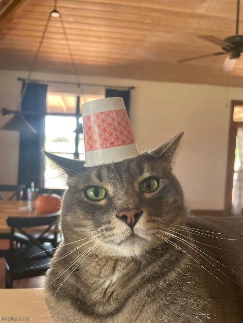 He got a hat. | made w/ Imgflip meme maker