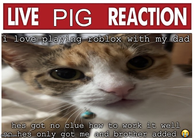 woah | i love playing roblox with my dad; hes got no clue how to work it well so hes only got me and brother added 😭🙏 | image tagged in woah | made w/ Imgflip meme maker
