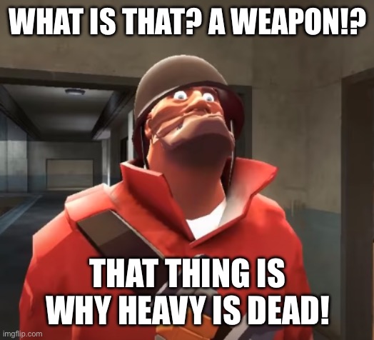 WHAT IS THAT? A WEAPON!? THAT THING IS WHY HEAVY IS DEAD! | image tagged in i am scared you maggots | made w/ Imgflip meme maker