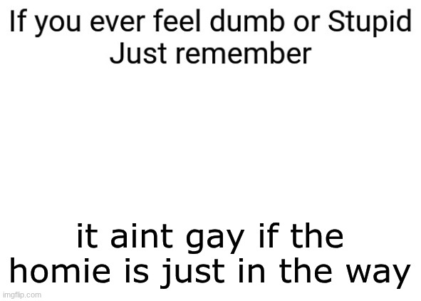 If you ever feel dumb or stupid just remember | it aint gay if the homie is just in the way | image tagged in if you ever feel dumb or stupid just remember | made w/ Imgflip meme maker