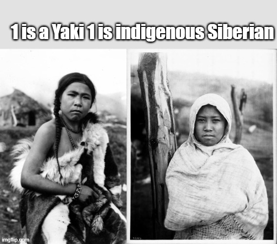 Colonizers | 1 is a Yaki 1 is indigenous Siberian | made w/ Imgflip meme maker