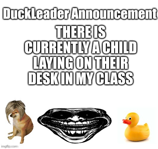 DuckLeader announcement | THERE IS CURRENTLY A CHILD LAYING ON THEIR DESK IN MY CLASS | image tagged in duckleader announcement | made w/ Imgflip meme maker
