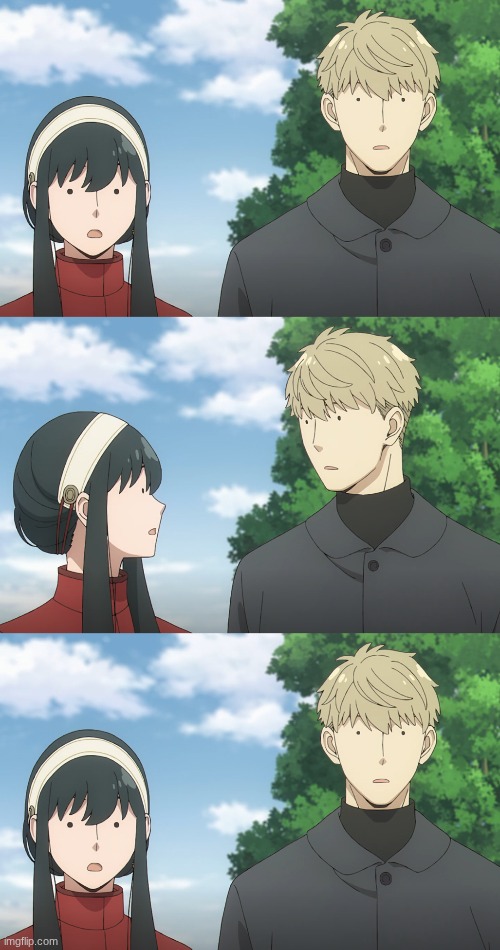 Yor & Twilight confusion Blank Meme Template