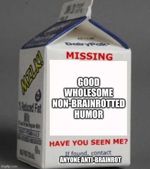 when will all this brainrot stop? | GOOD WHOLESOME NON-BRAINROTTED HUMOR; ANYONE ANTI-BRAINROT | image tagged in milk carton | made w/ Imgflip meme maker