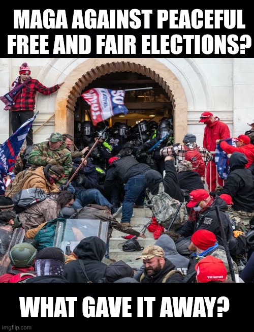 Black background | MAGA AGAINST PEACEFUL FREE AND FAIR ELECTIONS? WHAT GAVE IT AWAY? | image tagged in black background | made w/ Imgflip meme maker