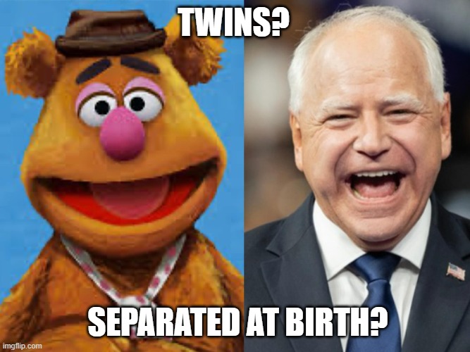 Twins ... Fozie & Tim | TWINS? SEPARATED AT BIRTH? | image tagged in twins | made w/ Imgflip meme maker