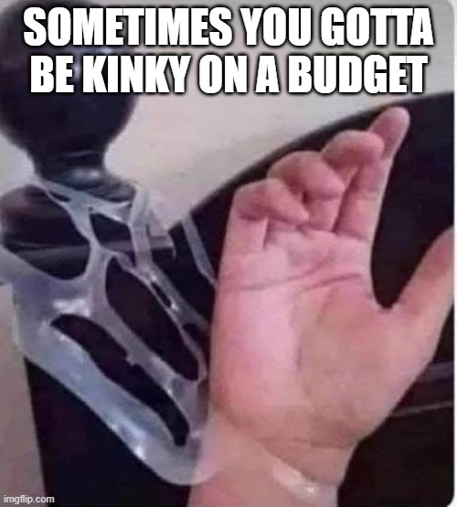 Kink on a Budget | SOMETIMES YOU GOTTA BE KINKY ON A BUDGET | image tagged in sex jokes | made w/ Imgflip meme maker