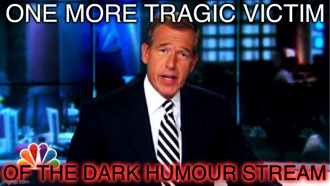News Anchor | ONE MORE TRAGIC VICTIM OF THE DARK HUMOUR STREAM | image tagged in news anchor | made w/ Imgflip meme maker