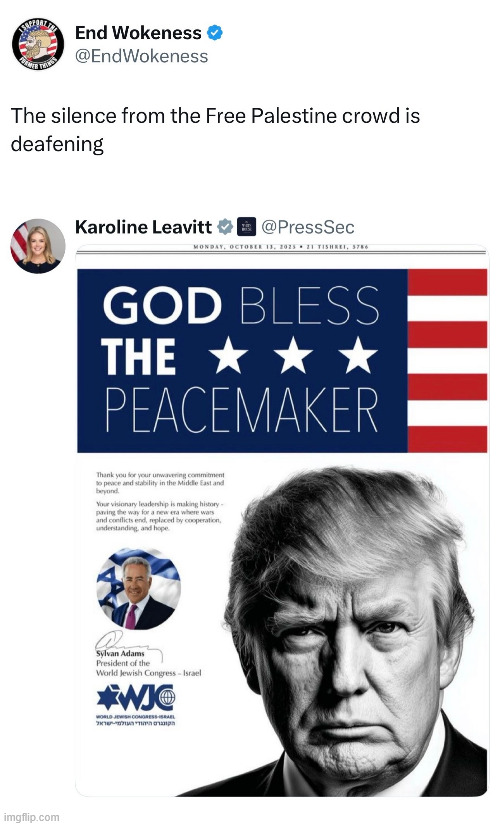 God bless the peacemaker | image tagged in lunatic lefties are silent,it's deafening,president trump,peacemaker | made w/ Imgflip meme maker