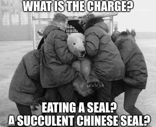 Gentlemen, this is democracy manifest! | WHAT IS THE CHARGE? EATING A SEAL?
A SUCCULENT CHINESE SEAL? | image tagged in polar bear what is the charge | made w/ Imgflip meme maker