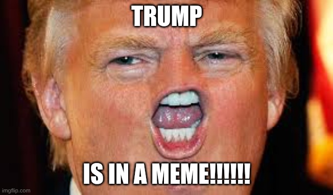 TRUMP | TRUMP; IS IN A MEME!!!!!! | image tagged in donald trump,funny memes | made w/ Imgflip meme maker