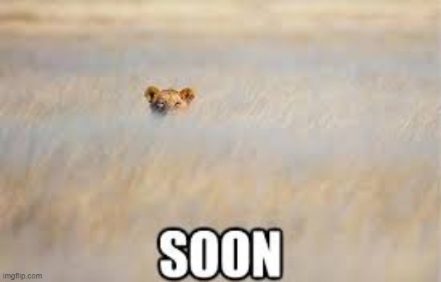 Soon | image tagged in repost | made w/ Imgflip meme maker