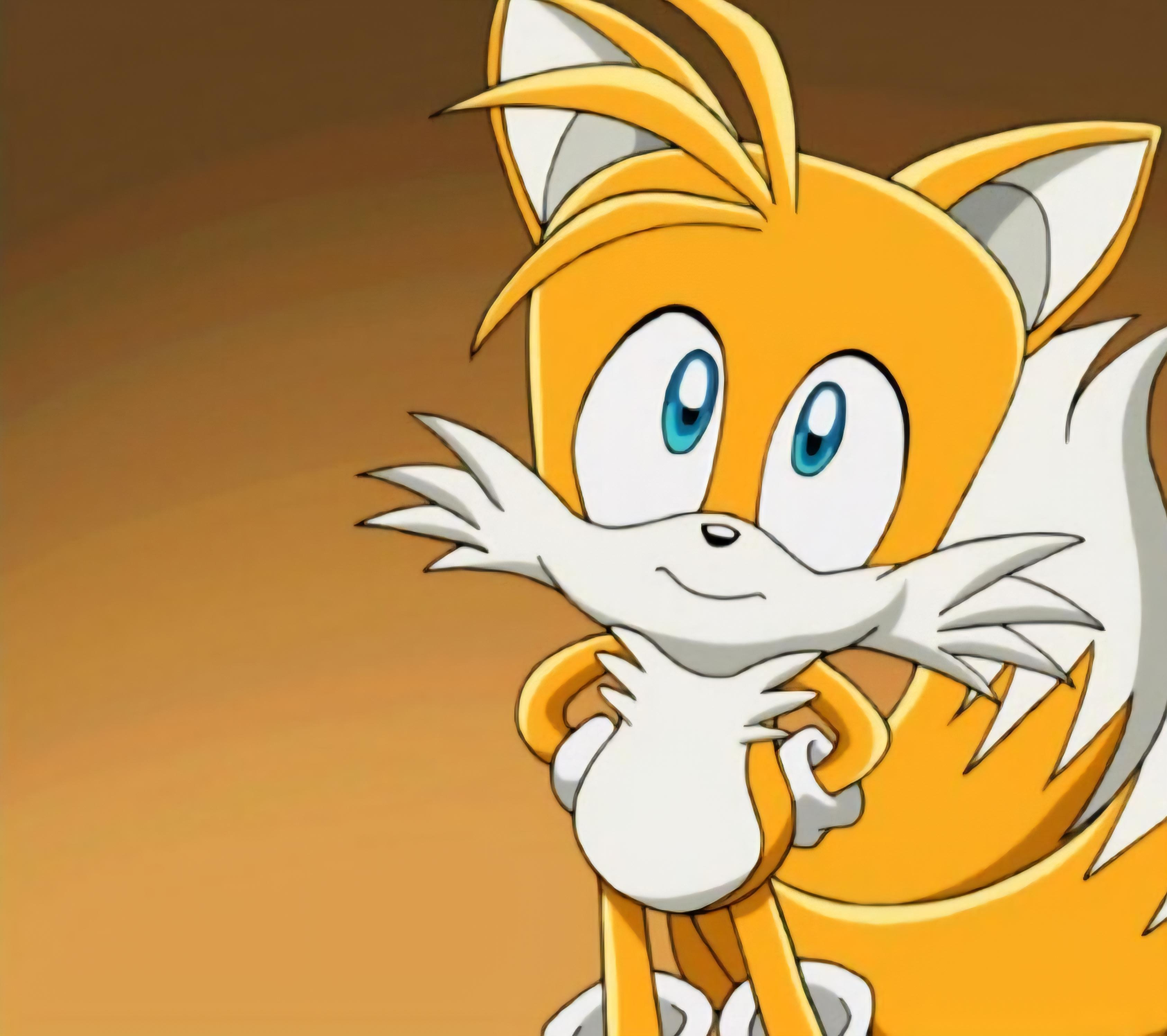 Tails Word Of The Day Blank Meme Template