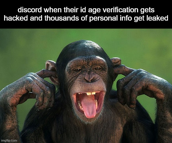 discord cyber attack situation | discord when their id age verification gets hacked and thousands of personal info get leaked | image tagged in i can't hear you | made w/ Imgflip meme maker