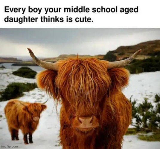 Relatable? | image tagged in boys,girls,middle school,cute,eye of the beholder,beauty | made w/ Imgflip meme maker