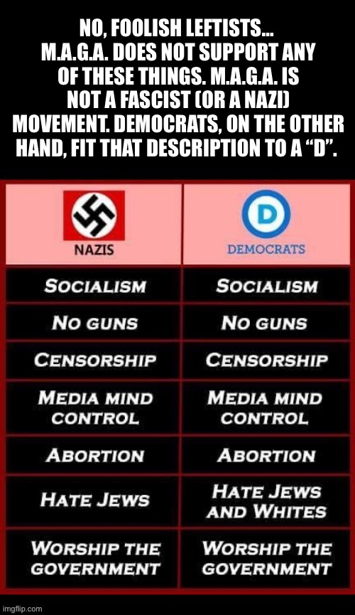 If you believe otherwise you’re just lying to yourself… | NO, FOOLISH LEFTISTS…  M.A.G.A. DOES NOT SUPPORT ANY OF THESE THINGS. M.A.G.A. IS NOT A FASCIST (OR A NAZI) MOVEMENT. DEMOCRATS, ON THE OTHER HAND, FIT THAT DESCRIPTION TO A “D”. | image tagged in political meme,democrats,nazis,maga isnt fascist,the similarities are striking,the real fascists are the left | made w/ Imgflip meme maker