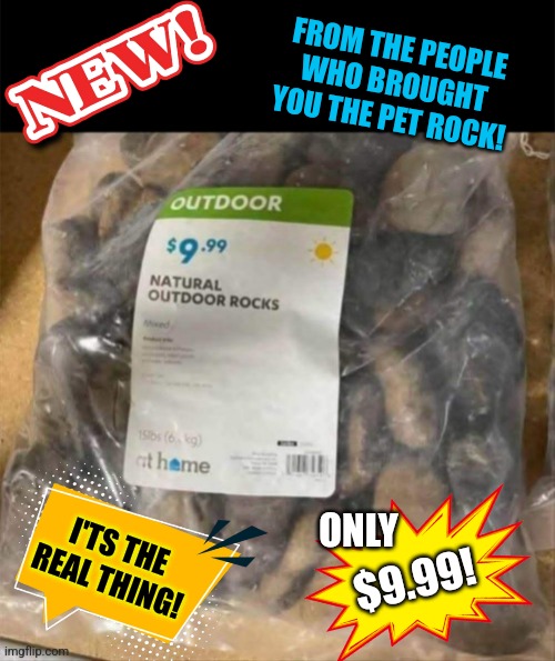 Rock Solid Product | FROM THE PEOPLE WHO BROUGHT YOU THE PET ROCK! ONLY; I'TS THE REAL THING! $9.99! | image tagged in rocks,for sale,genius,idea,you'll take my entire stock | made w/ Imgflip meme maker