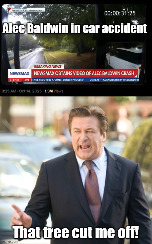 He should have gotten  drivers license with No Name Given | Alec Baldwin in car accident; That tree cut me off! | image tagged in alec baldwin,car accident | made w/ Imgflip meme maker