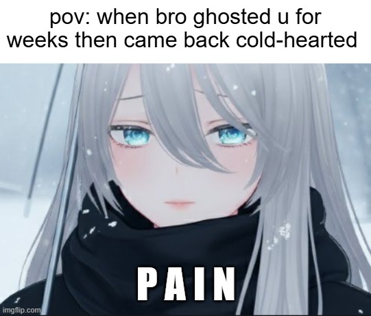 cold hearted bro (w/ my sad oc) | pov: when bro ghosted u for weeks then came back cold-hearted; P A I N | image tagged in chat,cold hearted,memes,relatable,sad | made w/ Imgflip meme maker