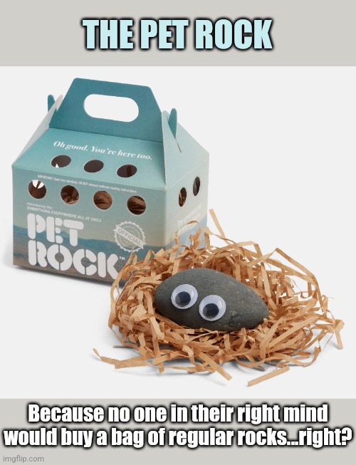THE PET ROCK Because no one in their right mind would buy a bag of regular rocks...right? | made w/ Imgflip meme maker